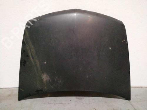 Used Hood RENAULT VEL SATIS (BJ0_) 2.2 dCi (BJ0E, BJ0F, BJ0G, BJ0H) (140 hp) 6060658
