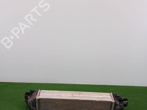 Intercooler BMW X1 (F48) sDrive 20 d | BP22969347M30 