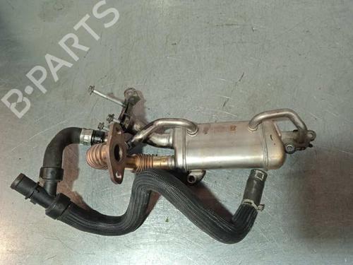 Used Egr RENAULT KANGOO / GRAND KANGOO II (KW0/1_) [2008-2025]  14250167