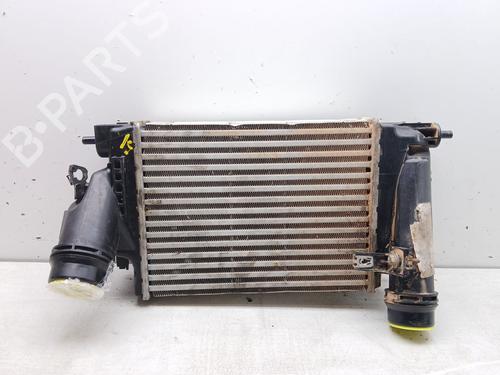Intercooler RENAULT TALISMAN Grandtour (KP_) 1.6 dCi 130 | BP27831115M30 