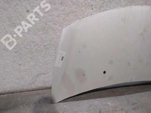 Hood RENAULT CLIO III (BR0/1, CR0/1) 1.2 16V (BR02, BR0J, BR11, CR02, CR0J, CR11) | BP9149740C1 