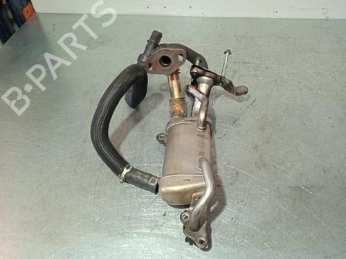 Egr RENAULT KANGOO / GRAND KANGOO II (KW0/1_)  | BP14250167M69 
