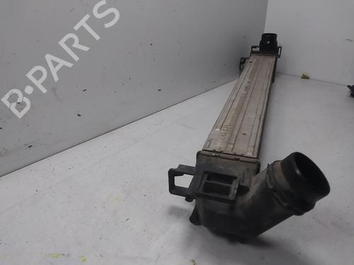 Intercooler RENAULT MEGANE III Hatchback (BZ0/1_, B3_)  | BP20725287M30 