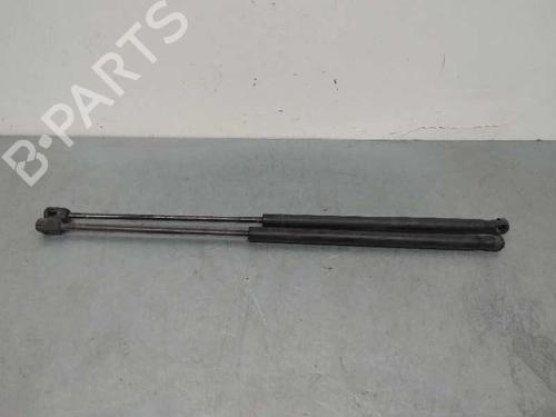Tailgate lift support LANCIA YPSILON (312_) 1.3 D Multijet (312.YXE1A, 312.YXU1A) X2 | 57 | CM