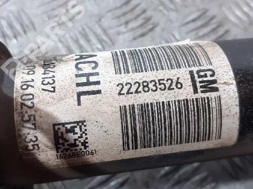 Venstre bagtil støddæmper OPEL CORSA E (X15) 1.3 CDTI (08, 68) | BP11917825M18 