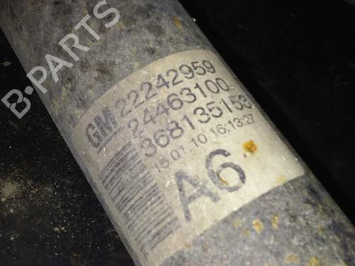 Højre bagtil støddæmper OPEL ZAFIRA / ZAFIRA FAMILY B (A05)  | BP14248955M19 
