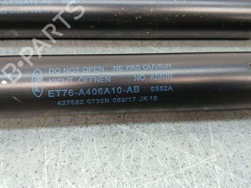 Tailgate lift support FORD TOURNEO COURIER B460 MPV  | BP25900322C138 
