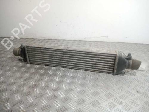 Used Intercooler FIAT DOBLO Cargo (263_) 1.3 D Multijet (75 hp) 16776568