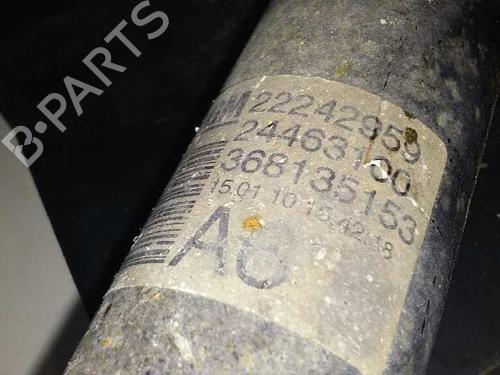 Right rear shock absorber OPEL ZAFIRA / ZAFIRA FAMILY B (A05)  | BP14248954M19
