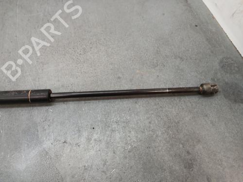 Tailgate lift support LAND ROVER RANGE ROVER SPORT I (L320) 3.0 D 4x4 | BP25437216C138 