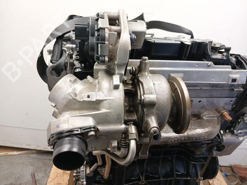 Engine VW T-ROC (A11, D11) 2.0 TDI SCR | BP24528560M1  - Image 11
