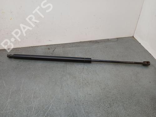 Tailgate lift support LAND ROVER RANGE ROVER SPORT I (L320) 3.0 D 4x4 | BP25437216C138 