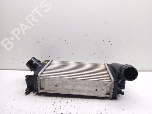 Intercooler NISSAN MICRA V (K14) 0.9 IG-T | BP34195955M30  - Image 6