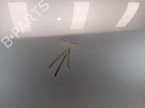 Left front door OPEL TIGRA TwinTop (X04) 1.3 CDTI (R97) | BP26132132C2 