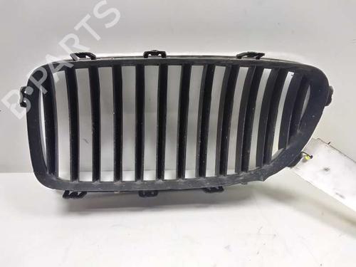 Grille BMW 5 (F10)  | BP17001958C40 