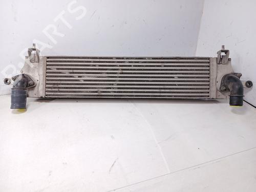 Used Intercooler NISSAN QASHQAI I (J10, NJ10) 1.5 dCi (110 hp) 22969442