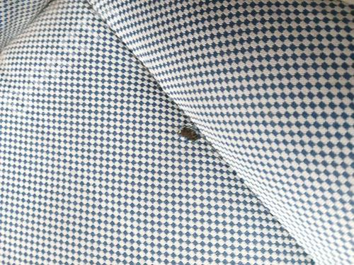 Left front seat FIAT 500 (312_) 1.3 D Multijet (312AXB1A) | BP32044107C15  - Image 10