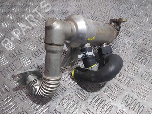 Egr FORD FOCUS C-MAX (DM2)  | BP14250984M69 
