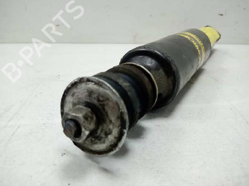 Right front shock absorber NISSAN CABSTAR E (TL_, VL_)  | BP19057181M17 