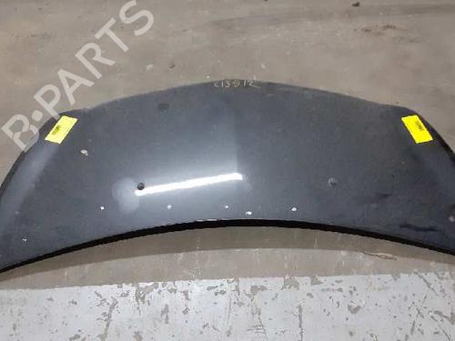 Hood RENAULT CLIO III (BR0/1, CR0/1) 1.5 dCi (C/BR0G, C/BR1G) | BP10421201C1 