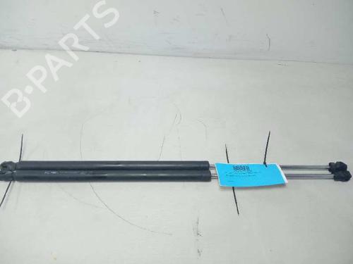 Tailgate lift support PEUGEOT 807 (EB_) 2.0 HDi | BP19106025C138 