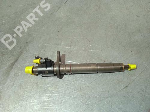 Injector JAGUAR XF I (X250) 3.0 D | BP9509421M100 