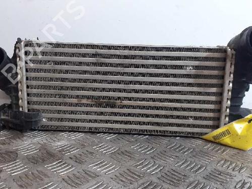 Intercooler FORD C-MAX II (DXA/CB7, DXA/CEU) [2010-2019]  12982681