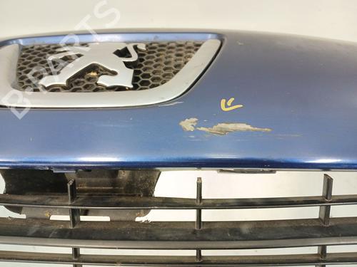 Front bumper PEUGEOT 307 (3A/C) 1.6 HDi | BP30504906C7