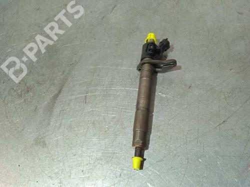 Injector JAGUAR XF I (X250) 3.0 D | BP9509421M100 