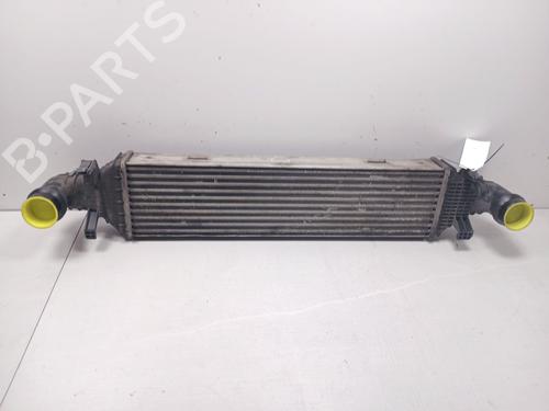 Used Intercooler MERCEDES-BENZ E-CLASS (W212) E 300 CDI / BlueTEC (212.020, 212.021, 212.027) (231 hp) 21517952