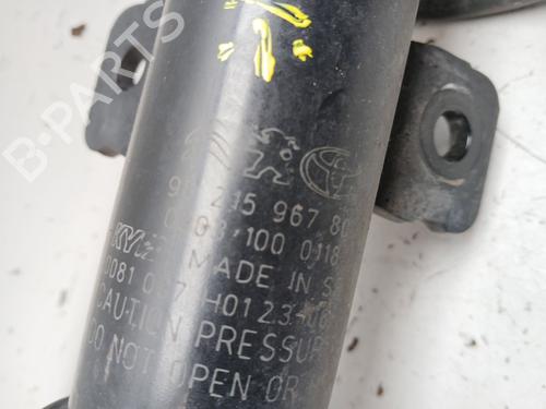 Left front shock absorber OPEL VIVARO C Van (K0) 1.5 | BP33719224M16 - Image 2