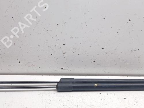 Used Tailgate lift support VW GOLF VII (5G1, BQ1, BE1, BE2) 1.5 TSI (130 hp) 32502395
