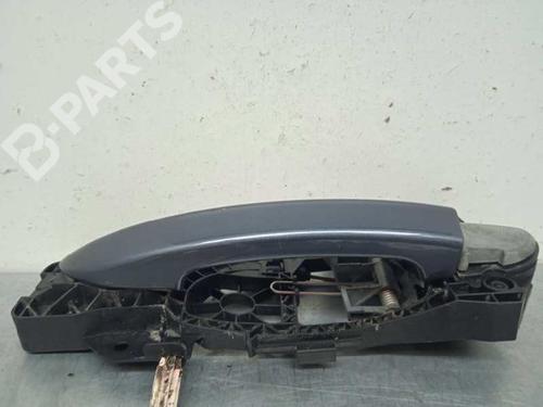 BP9698049C130 | Portiergreep links achter VW PASSAT B7 (362) 2.0 TDI BP9698049C130