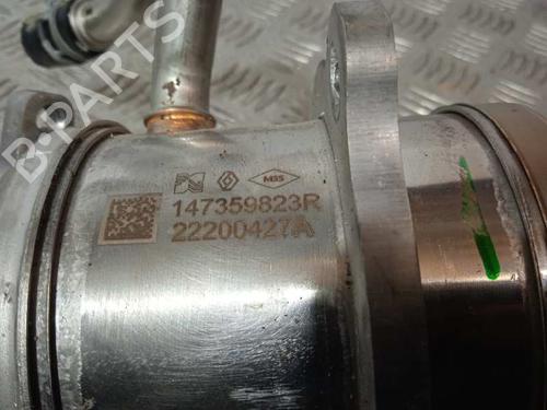 Egr RENAULT MEGANE IV Grandtour (K9A/M/N_) | BP14251132M69