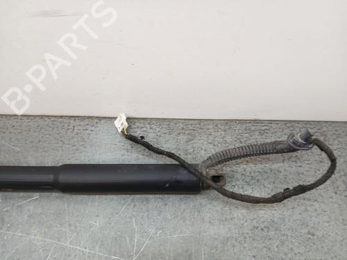 Tailgate lift support BMW 3 Touring (F31)  | BP26706129C138 