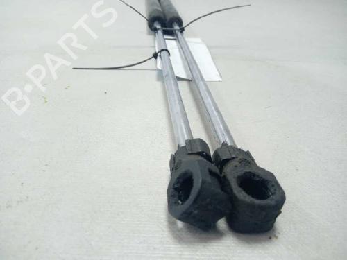 Tailgate lift support PEUGEOT 807 (EB_) 2.0 HDi | BP19106025C138 