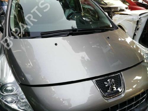 Hood PEUGEOT 3008 I MPV (0U_)  | BP19056530C1