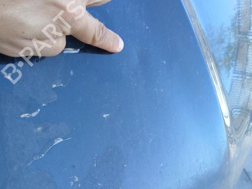 Hood NISSAN QASHQAI I (J10, NJ10) 1.6 dCi | BP29567449C1 