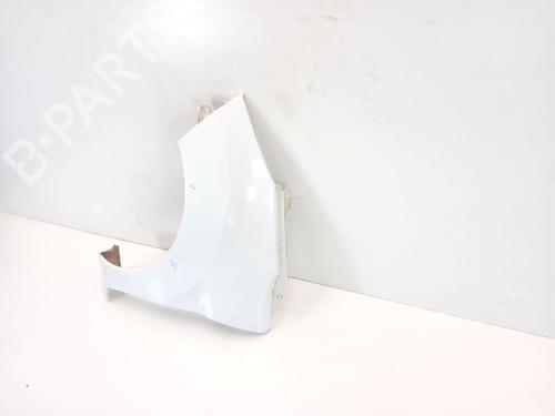 Left front fenders FORD FIESTA VI (CB1, CCN) 1.5 TDCi | BP22650327C41 