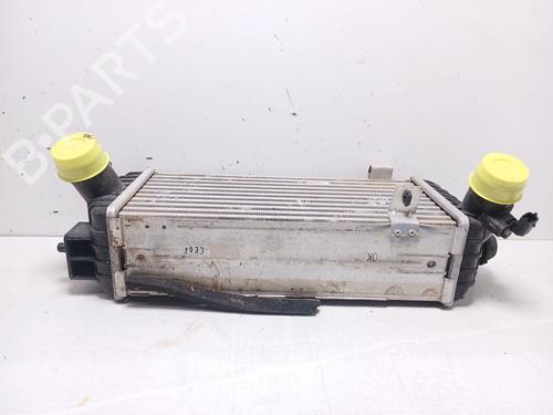 Intercooler PEUGEOT 3008 III (KA_, KB_, KC_) Hybrid 136 (KAHPYE) | BP24126975M30 