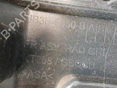 Grille FORD RANGER (TKE) | BP30382767C40