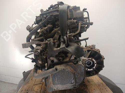 Engine SEAT IBIZA III (6L1) 1.4 16V | BP30487330M1 