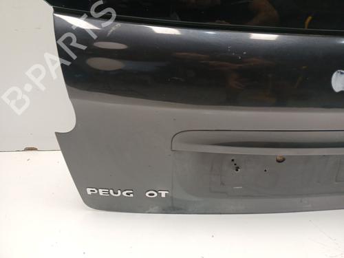 Tailgate PEUGEOT 207 (WA_, WC_) 1.6 HDi | BP29360866C6 