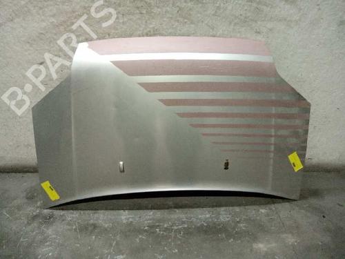 Hood FORD TRANSIT CONNECT (P65_, P70_, P80_)  | BP9643875C1