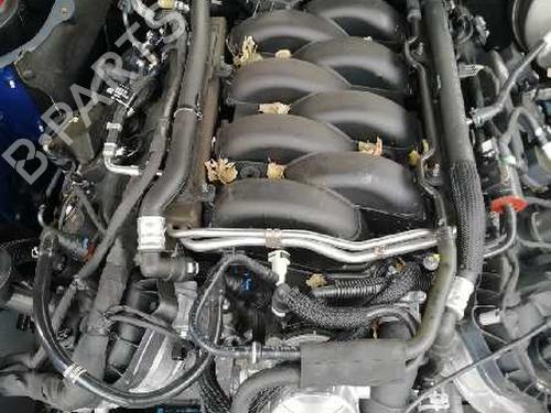 Sikkerhetsbelte foran høyre FORD USA MUSTANG Coupe 5.0 V8 | BP17489931I25 