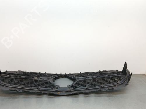 Grille MERCEDES-BENZ A-CLASS (W177) A 250 e (177.086) | BP30125004C40 