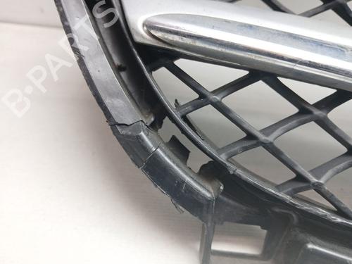 Grille MERCEDES-BENZ A-CLASS (W176) | BP30168976C40
