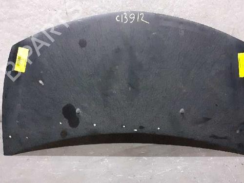 Hood RENAULT CLIO III (BR0/1, CR0/1) 1.5 dCi (C/BR0G, C/BR1G) | BP10421201C1 