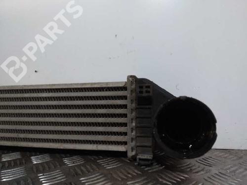 Intercooler MERCEDES-BENZ A-CLASS (W169)  | BP9749441M30 