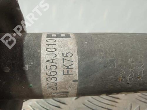 Left rear shock absorber SUBARU LEGACY V (BM) 2.0 D AWD (BMD) | BP8637125M18 